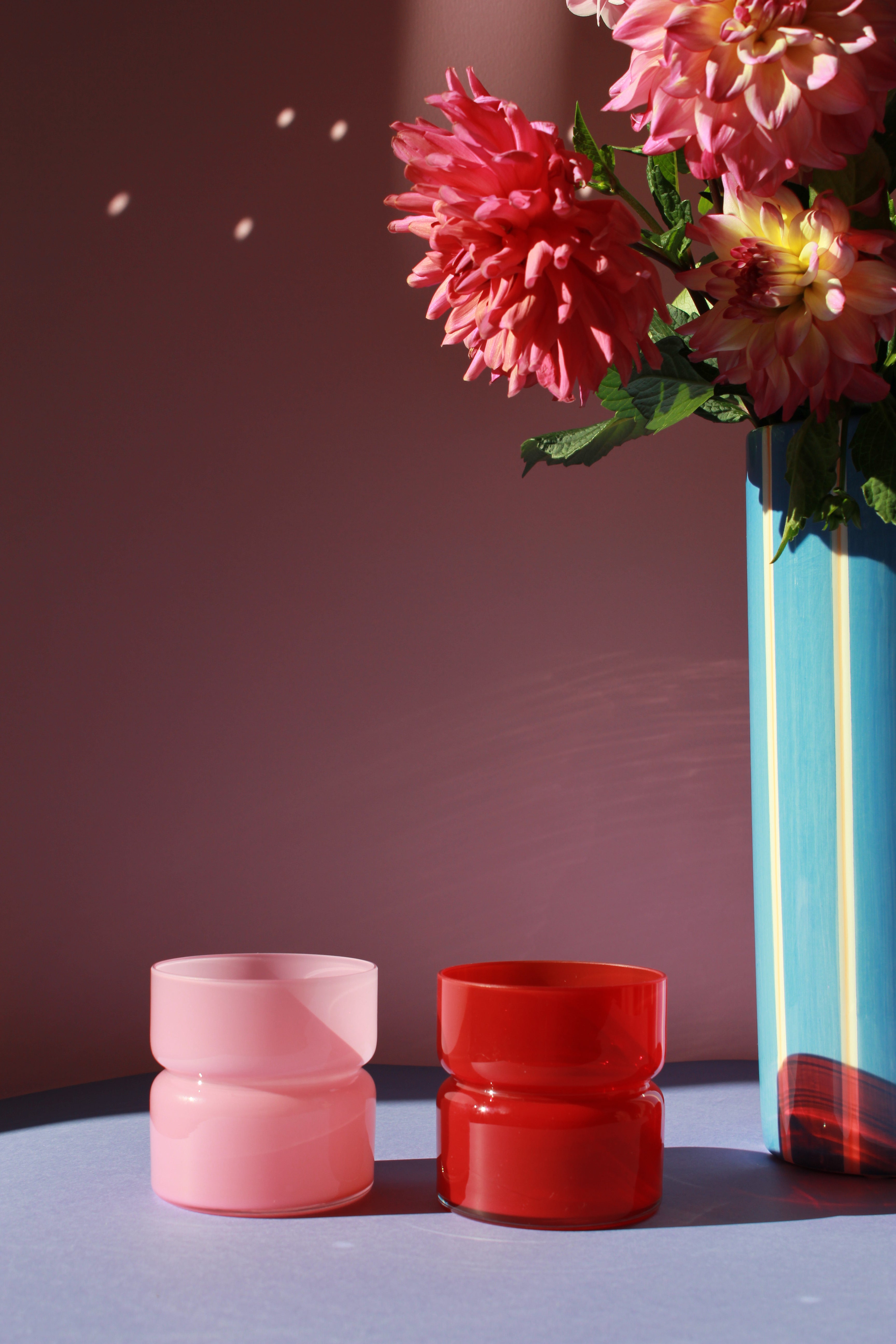 tulp • space cherry