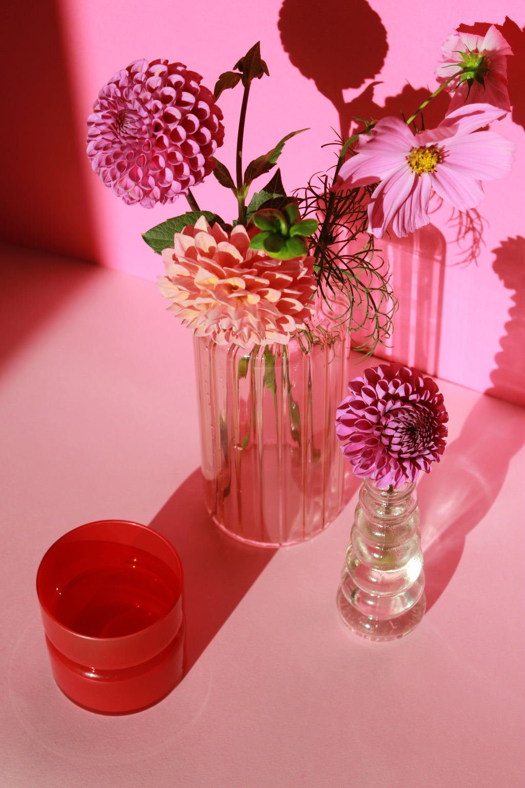 tulp • space cherry