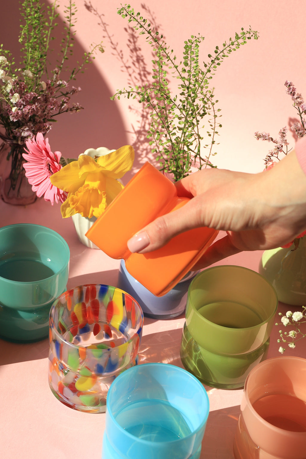 tulp • orange pop